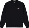 dickies felpa uomo dickies summerdale sweatshirt - dk0a4y6q Anteprima dell’immagine prodotto 14