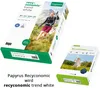 Inapa Recyconomic Trend Bílý papír do tiskárny A4 80 g (500 Náhled obrázku produktu 5
