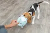 Trixie Hundespielzeug Junior Bär Produktbild-Vorschau 7