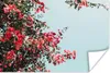 MuchoWow® Poster Blumen - Luft - Rosa 60x40 cm - Produktbild-Vorschau 1