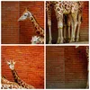 Bild auf Leinwand - Leinwandbild - Tiere Giraffen Zoo Produktbild-Vorschau 8