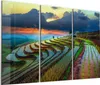 DEQORI Glasbild Echtglas 3x50x100 cm 'Reisterrassenfelder' Produktbild-Vorschau 1