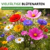 Bienenweide Blumenmischung - 100 g Samen für Bienenwiese - Produktbild-Vorschau 6