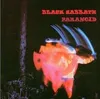 Paranoid (Lp+Cd,180g) (Vinyl) Produktbild-Vorschau 4