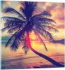 Bilder auf glas - Meer Strand Palme - 50x50cm - Glasbilder Produktbild-Vorschau 1
