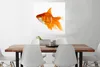 MuchoWow® Poster Goldfisch - Fisch - Weiß 75x75 cm - Wand Produktbild-Vorschau 2