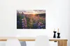 MuchoWow® Poster Lupine - Sonne - Lila 60x40 cm - Produktbild-Vorschau 5