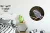MuchoWow® Rundes Wandbild - Runde Bilder Eule - Vogel - Produktbild-Vorschau 3