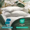 Kopfkissen Anna 80x80 cm mit Anti-Allergie Füllung | Produktbild-Vorschau 2