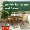 Meine Orangerie - Zwergobst Stämmchen Pfirsich - Produktbild-Vorschau 6