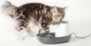 Nobby Trinkbrunnen Katze Cascade 1,5 l Produktbild-Vorschau 8