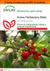 SAFLAX - Garden in the bag - Krzew Herbaciany Mate - 10 Podgląd zdjęcia produktu 1