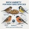 Illustration of different bird species with a bowl of birdseed. Anteprima dell’immagine prodotto