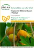 SAFLAX  - Papayer - 30 graines - Carica Voir les images du produit 10
