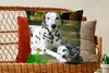 MuchoWow® Zierkissen Sofakissen Wohnzimmer Dekokissen 60x60 Produktbild-Vorschau 5