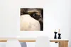 MuchoWow® Poster Schildkröte - Baby - Ei 50x50 cm - Produktbild-Vorschau 5