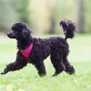 Rukka Pets Hundegeschirr "Comfort Air Harness" pink, Größe: Produktbild-Vorschau 2