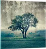 Bilder auf glas - Baum Natur Feld - 70x70cm - Glasbilder - Produktbild-Vorschau 1
