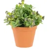 Pflanztop Runder 1,6L terrakota Ø17 cm kunststoff, für Produktbild-Vorschau 6