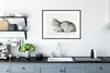 MuchoWow® MuchoWow® Gerahmtes Poster Liegende Katze - Produktbild-Vorschau 4