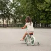 Lorelli ENERGY 2in1 Laufrad & Fahrrad mit Pedalen + Produktbild-Vorschau 24
