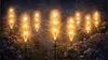 Lampa ogrodowa solarna LED trawa pampasowa ciepła biel 70 Podgląd zdjęcia produktu 5