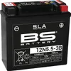 BS BATTERY SLA Wartungsfreie Batterie Werkseitig aktiviert Produktbild-Vorschau 1