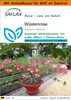 SAFLAX - Garden in the Bag - Bonsai - Wüstenrose - 8 Samen Produktbild-Vorschau 1
