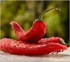 Spritzschutz Herdabdeckplatte Schneidebrett aus Glas Produktbild-Vorschau 1