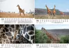 Tierkinder Giraffen DIN A5 Kalender für 2027 Giraffen - Produktbild-Vorschau 3
