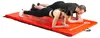 Matelas pliant HMS Premium MGS01 rouge Voir les images du produit 6