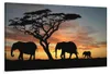 5066 Afrika Elefanten Leinwandbild 120x80 cm Produktbild-Vorschau 1