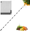 Cueillette de fruits 4M avec manche télescopique, tête Voir les images du produit 1
