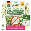 Eretmocerus Schlupfwespen gegen weiße Fliegen & Produktbild-Vorschau 1