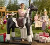 Cavallo meccanico Ponnie Domino XL PROFI Anteprima dell’immagine prodotto 19