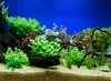 Aquarium Bodengrund Quarzkies Bernstein 1-2 mm, 24 kg, für Produktbild-Vorschau 5