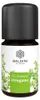 Bio Aroma - Aceite esencial de orégano orgánico, 5 ml Vista previa de la imagen del producto 1