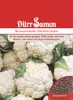 Blumenkohl Herbstriesen | Blumenkohlsamen von Dürr Samen Produktbild-Vorschau 1