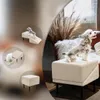 Scala per Cani Pieghevole 2 in 1, Rampa per Animali e Anteprima dell’immagine prodotto 8