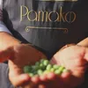 Pamako Olivenöl Extra Vergine 500ml Kreta Tsounati Produktbild-Vorschau 5