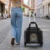 Borsa da trasporto pieghevole per animali domestici di Anteprima dell’immagine prodotto 2