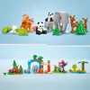 LEGO DUPLO Town Rodziny Dzikich Zwierzt 3 w 1, Edukacyjna Podgląd zdjęcia produktu 6