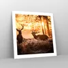 Poster - Poster ohne Rahmen - Deer Heidekraut Tier - 50x50 Produktbild-Vorschau 7