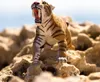 animal de jeu sabre Tiger Junior 12,5 x 4,5 cm brun/blanc Voir les images du produit 7