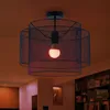 RGB LED Deckenleuchte, schwarz, rund, Käfig, D 40 cm Produktbild-Vorschau 2