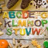 Patisse vykrajovátka na cukroví v krabicích 26dílná Náhled obrázku produktu 5