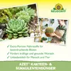 Neudorff Azet Kakteen & SukkulentenDünger 250ml Konzentrat Produktbild-Vorschau 5