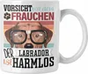 Trendation - Labrador Besitzerin Frauchen Tasse Geschenk Produktbild-Vorschau 1