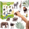 Zoo Magnet Set Wilde Tiere Realistisches Design Solide Produktbild-Vorschau 4