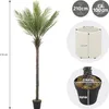 ML-Design Umelá palma 210 cm, tropická umelá palma, umelá Náhľad obrázku produktu 7
